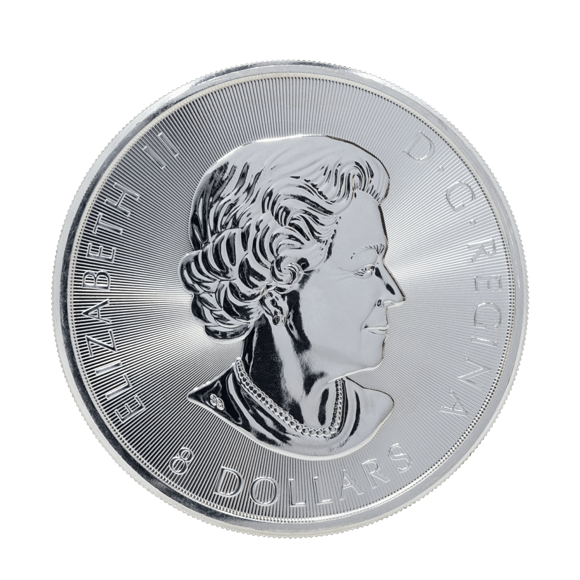 CanadianGyrfalcon_Back