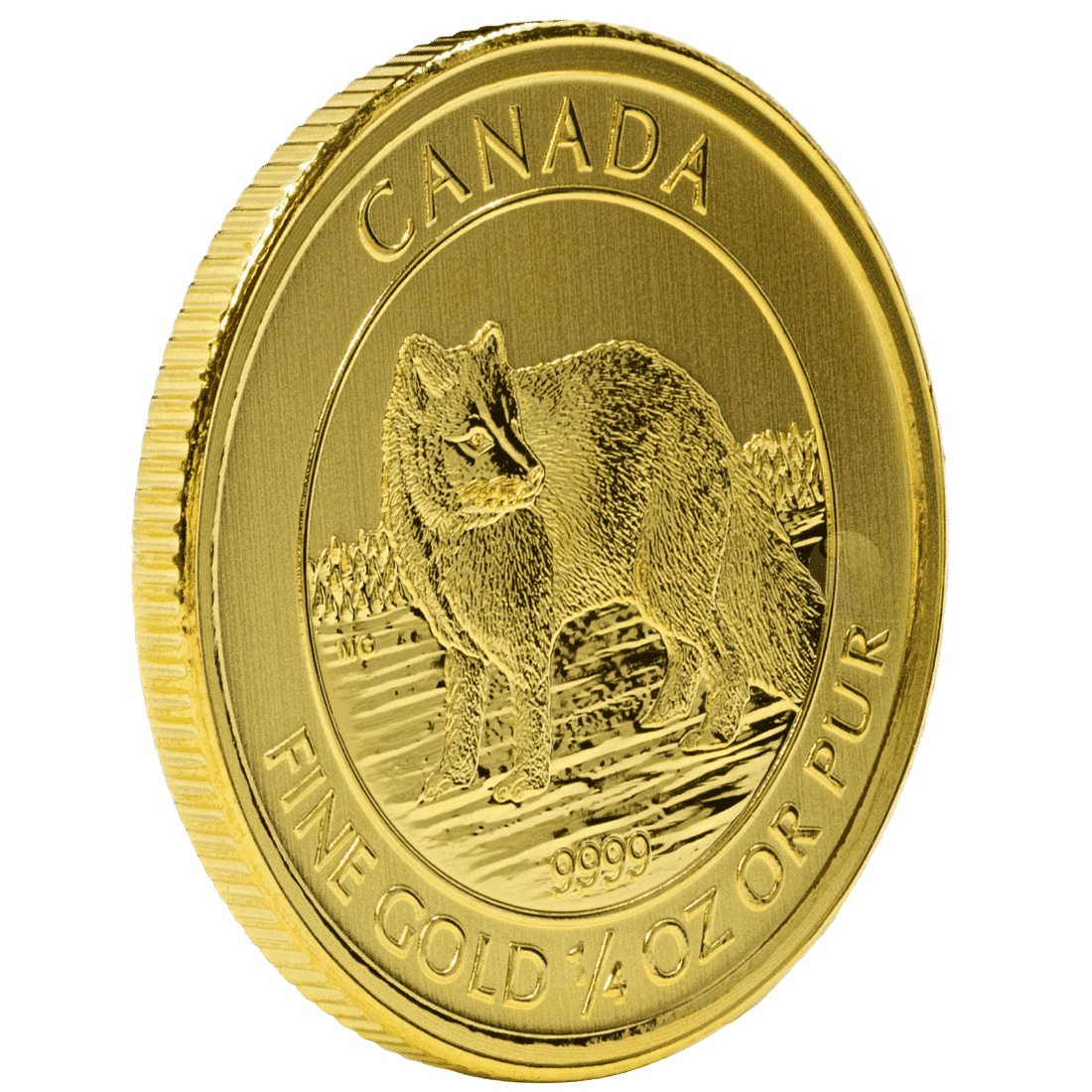 Arctic Fox Gold Rim Transparent Gold Canadian Arctic Fox 1/4 Ounce Coin
