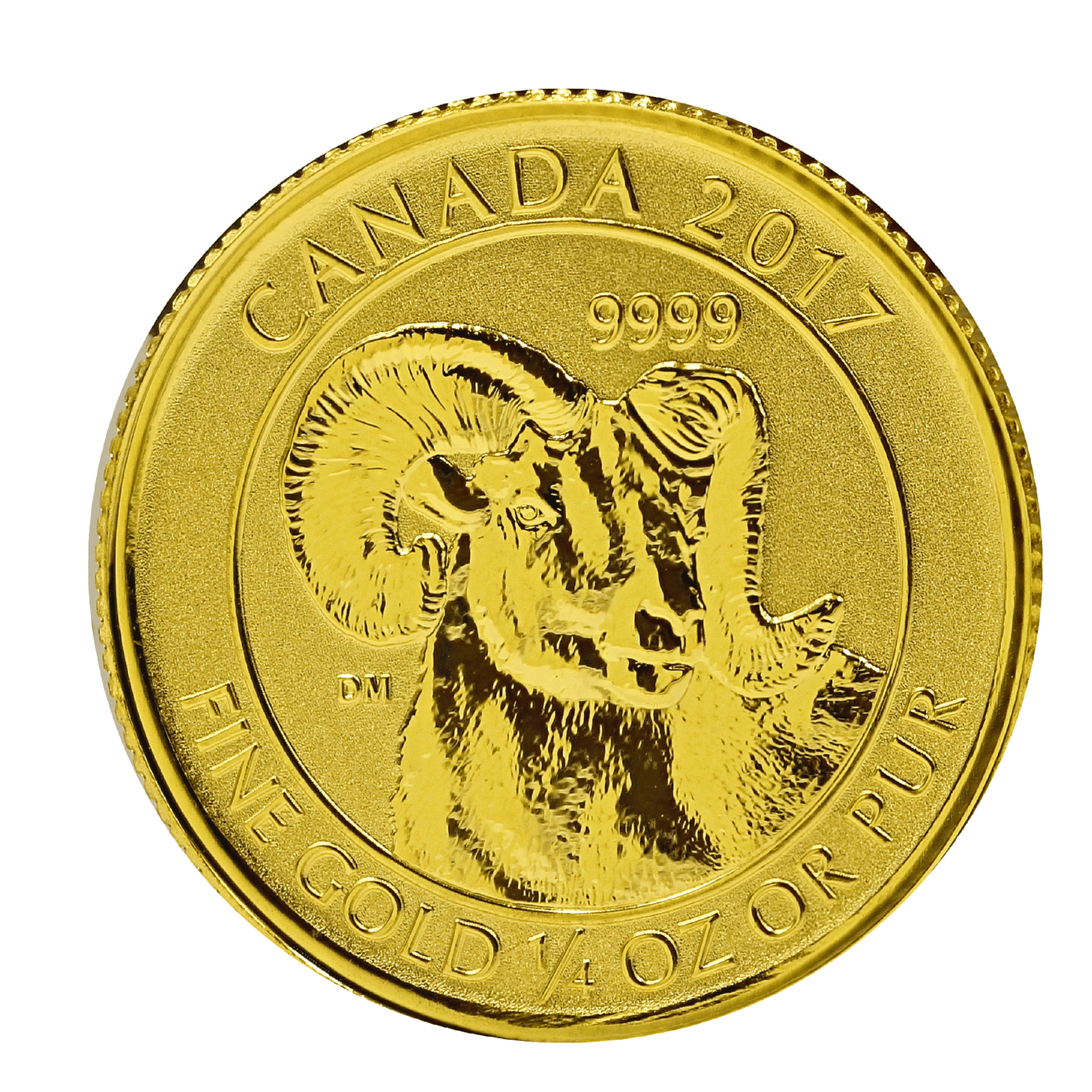 Gold Canadian Big Horn Sheep 1/4 Ounce Coin Gold Canadian Big Horn Sheep 1/4 Ounce Coin